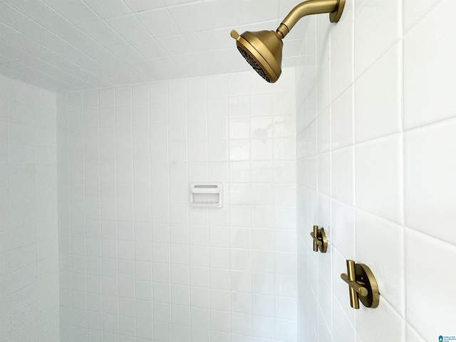 room details featuring tiled shower