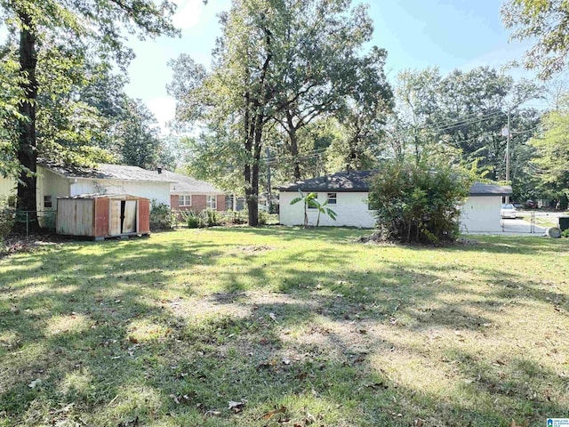 view of yard with a storage shed