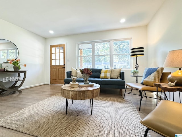 living room with hardwood / wood-style floors and a wealth of natural light