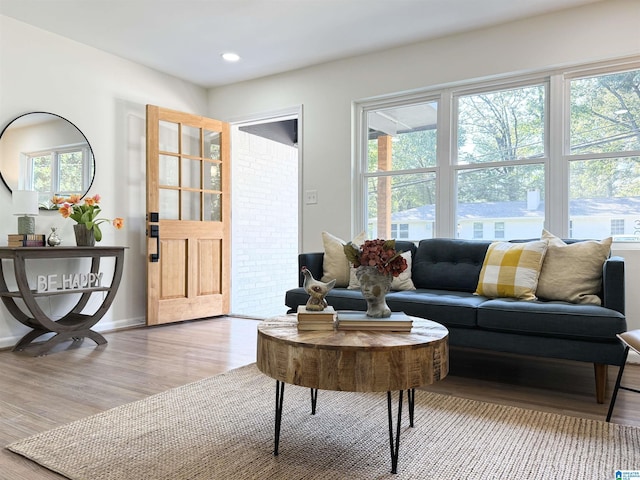 living room with hardwood / wood-style flooring