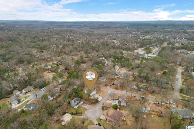 bird's eye view