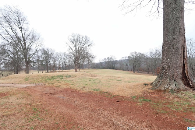 view of yard with a rural view