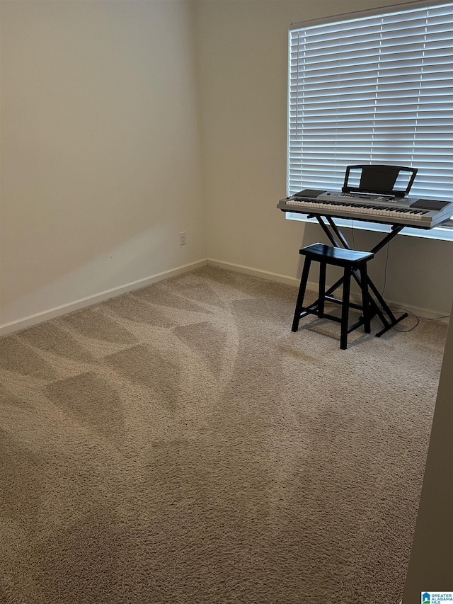 interior space with carpet floors