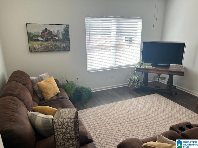 living room featuring dark hardwood / wood-style flooring