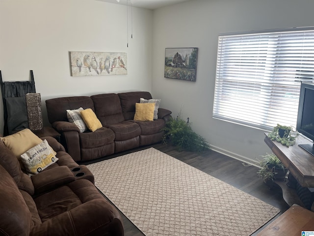 living room with dark wood-type flooring