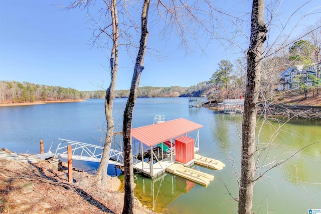 dock area with a water view