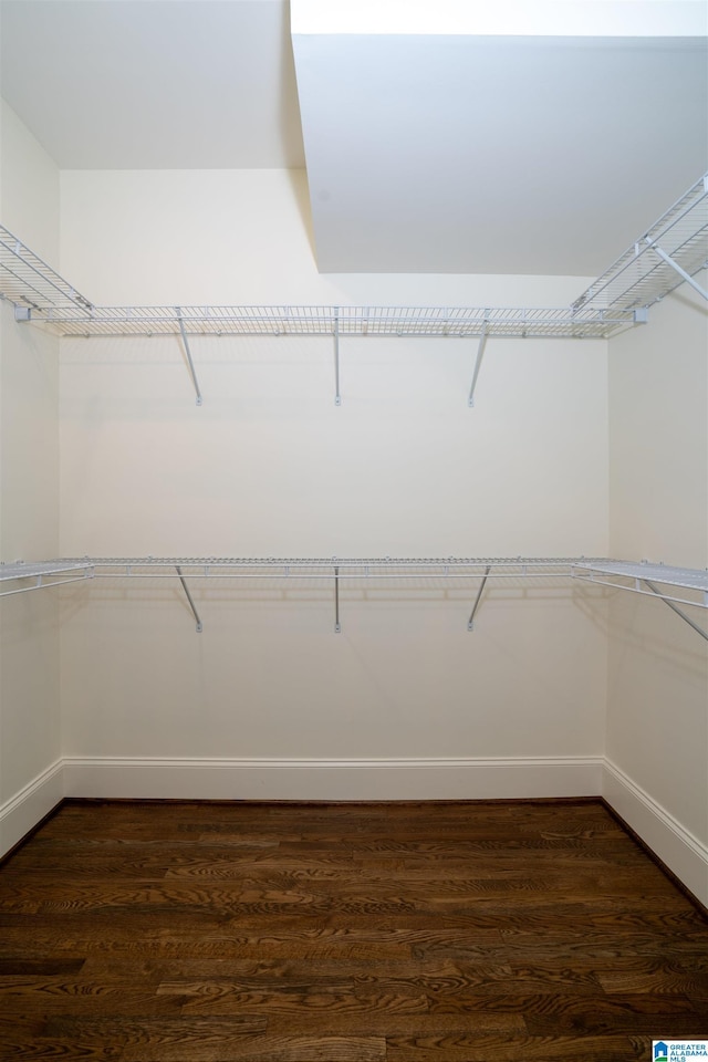 walk in closet with dark hardwood / wood-style floors