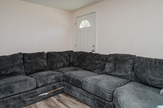 living room featuring light hardwood / wood-style flooring