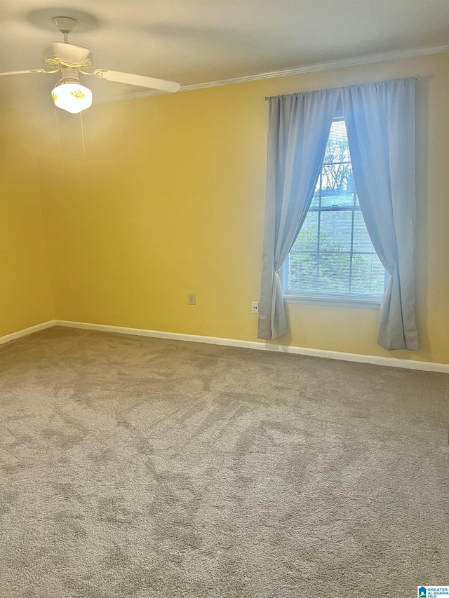 spare room featuring ornamental molding, carpet floors, and baseboards