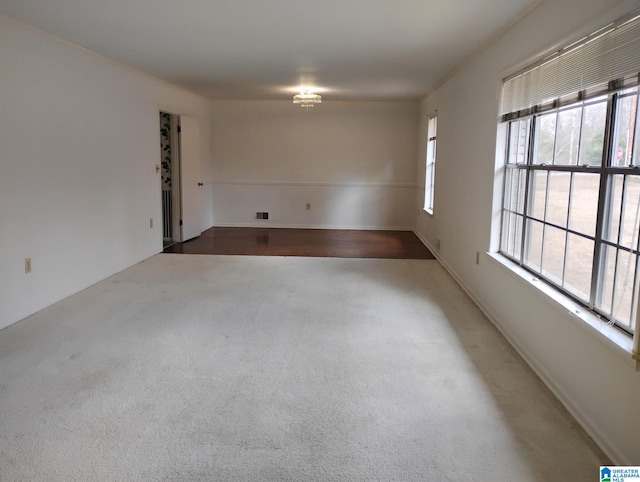 empty room featuring carpet flooring