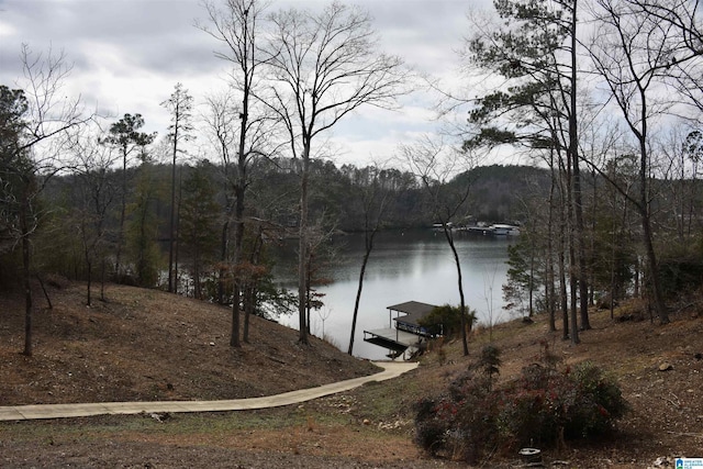 view of water feature with a dock and a forest view