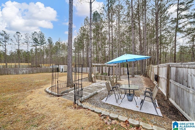 view of yard with a patio