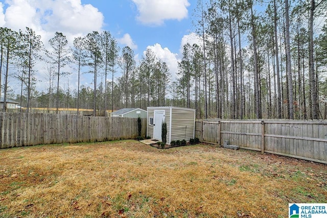 view of yard with a storage unit