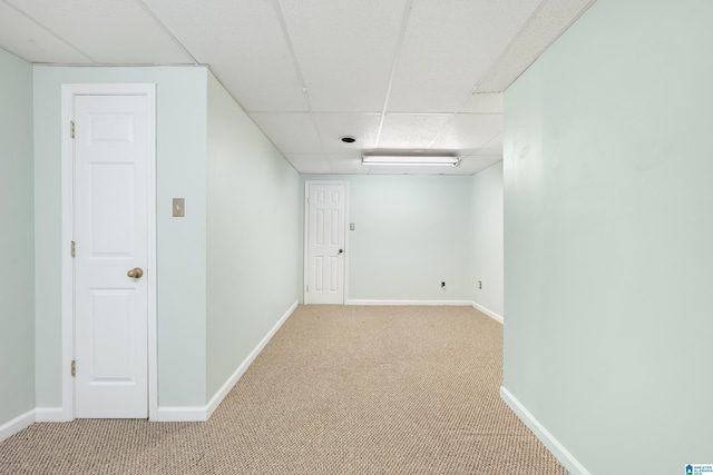 basement featuring light carpet and a drop ceiling