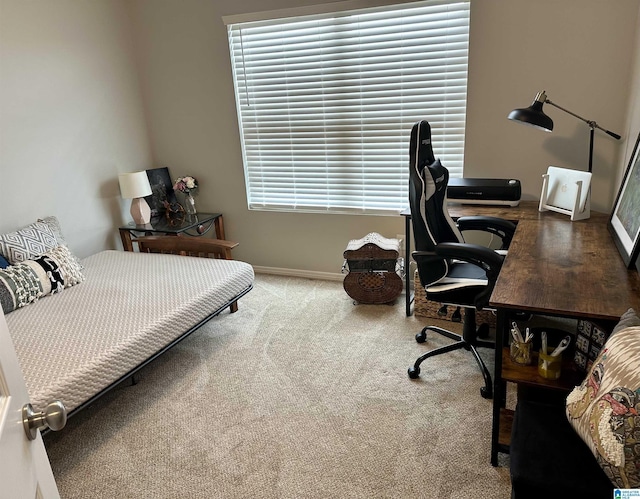 bedroom featuring carpet flooring