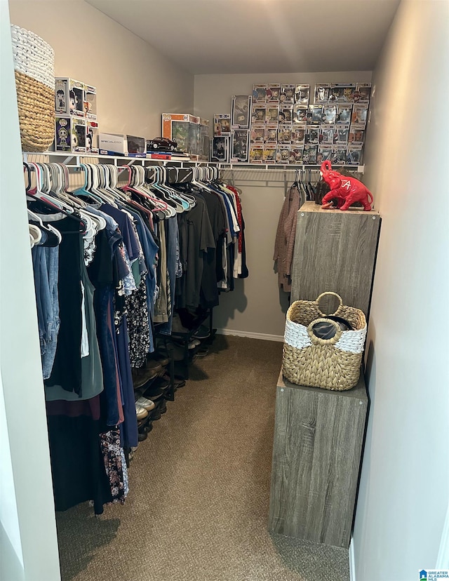 spacious closet with carpet