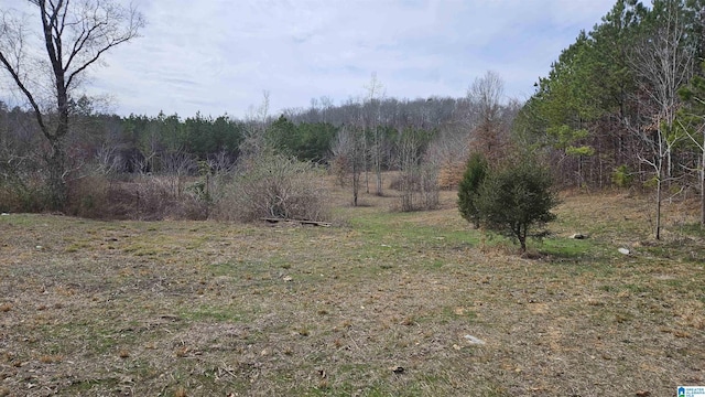 Listing photo 2 for 8900 County Road 31 Unit 0, Ashville AL 35953