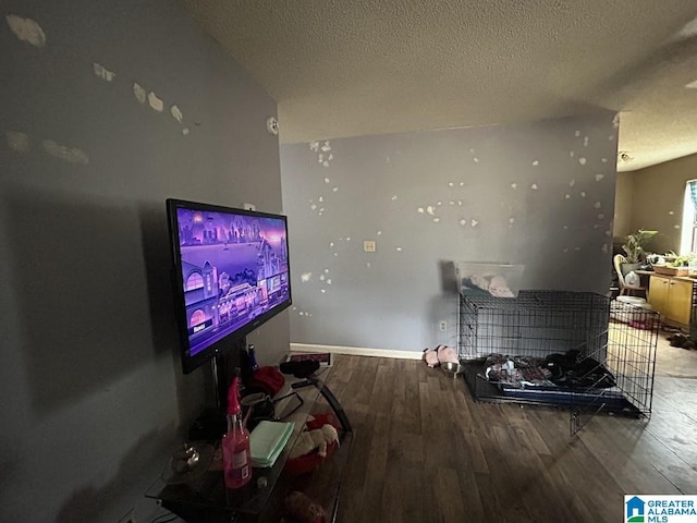 living room featuring hardwood / wood-style flooring and a textured ceiling