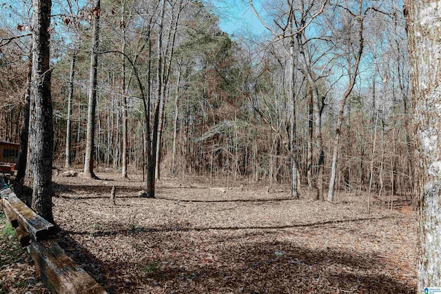 view of landscape