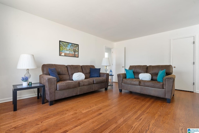 living room featuring hardwood / wood-style flooring