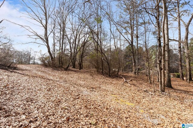 view of local wilderness