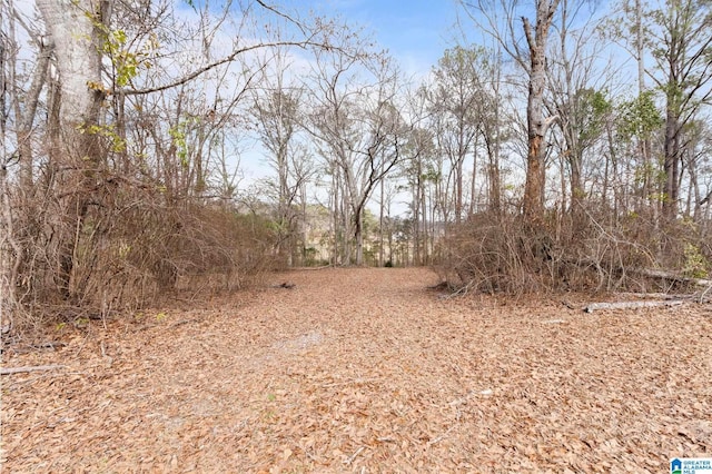 view of local wilderness