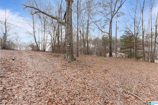 view of local wilderness