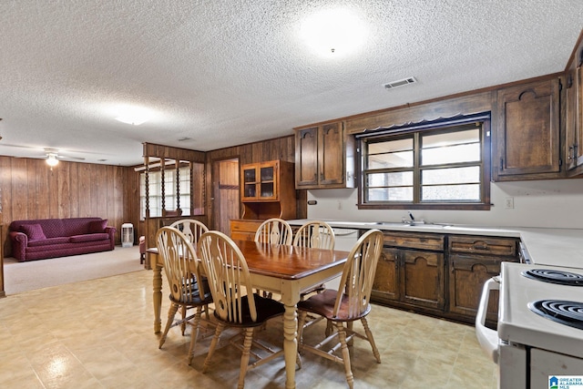 dining area with plenty of natural light, sink, a textured ceiling, and wooden walls