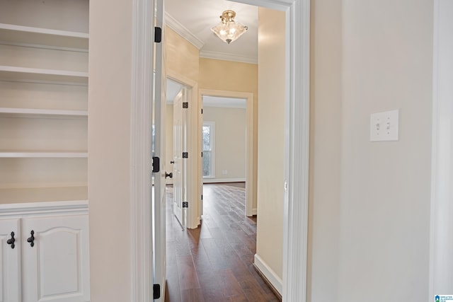 hall with crown molding and dark hardwood / wood-style flooring