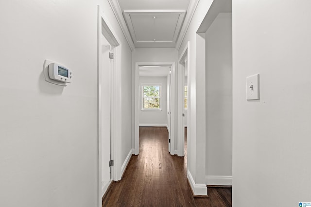 hall with dark hardwood / wood-style floors