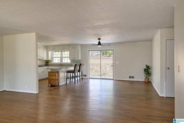 unfurnished living room with ceiling fan, dark hardwood / wood-style flooring, and sink