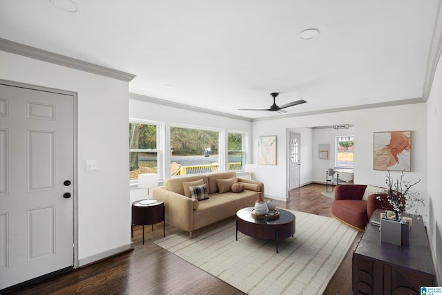 living room featuring dark wood-type flooring, ornamental molding, and plenty of natural light