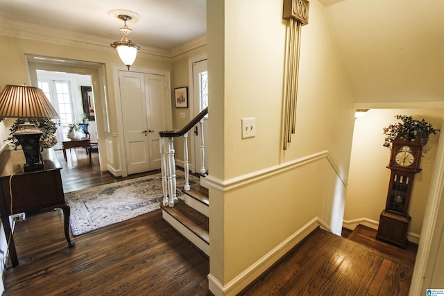 foyer entrance with crown molding and dark hardwood / wood-style floors