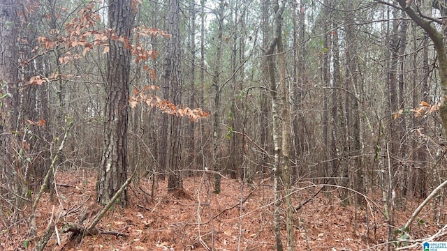 Listing photo 3 for Lot5/2Acre County Road 823 Lot 5, Wadley AL 36276