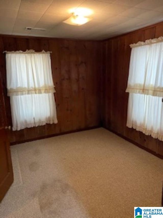 spare room featuring carpet floors and wooden walls