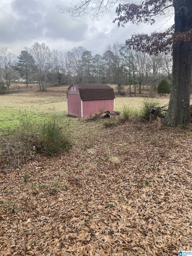 view of yard featuring a rural view and a storage shed