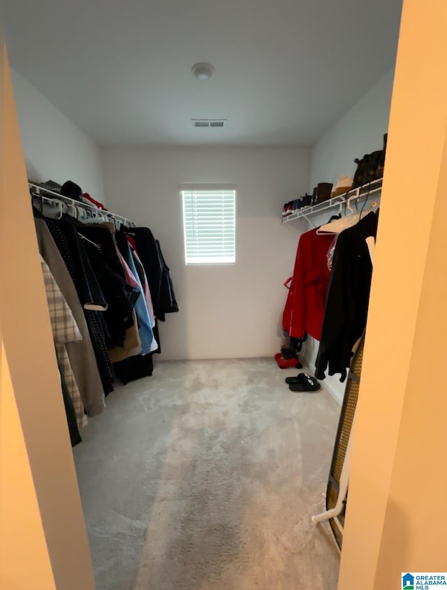 spacious closet featuring carpet