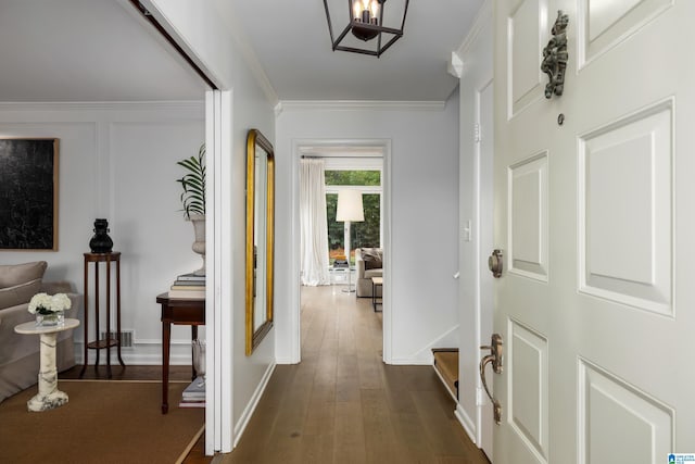 hallway featuring crown molding and dark hardwood / wood-style floors