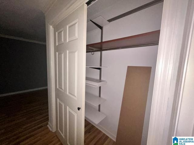 view of closet