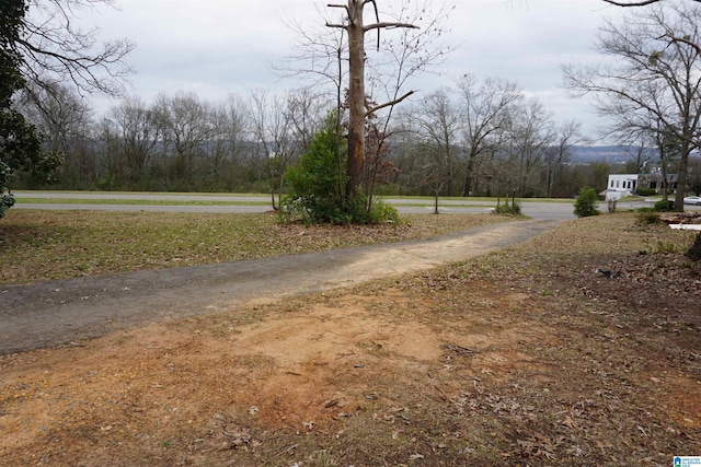 view of road