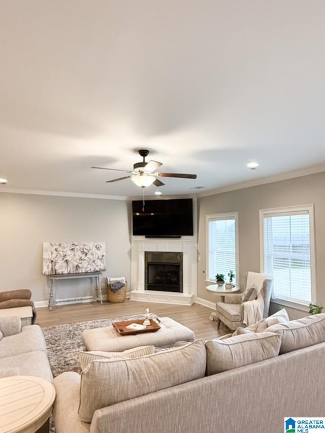 living room featuring ceiling fan, ornamental molding, and light hardwood / wood-style floors