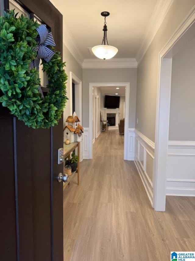 hall featuring ornamental molding and light wood-type flooring