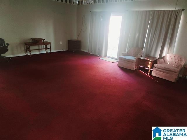 unfurnished room with carpet flooring