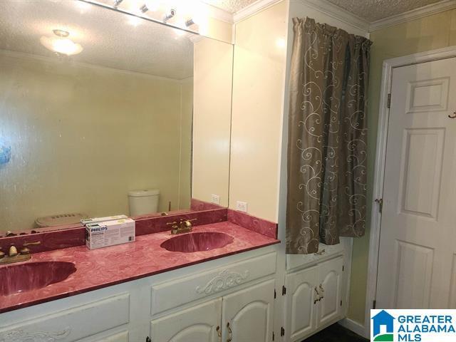 bathroom featuring crown molding, vanity, and a textured ceiling