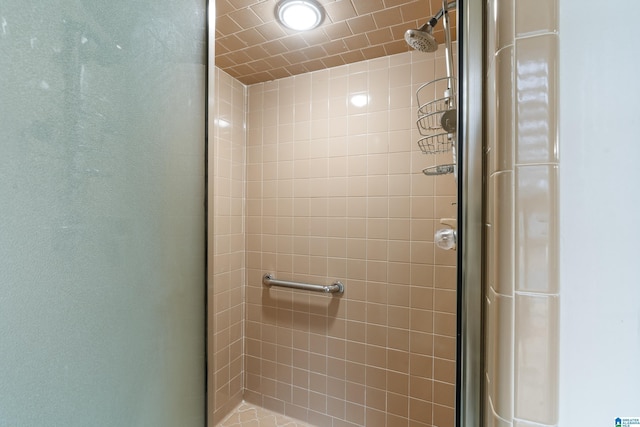 bathroom with an enclosed shower