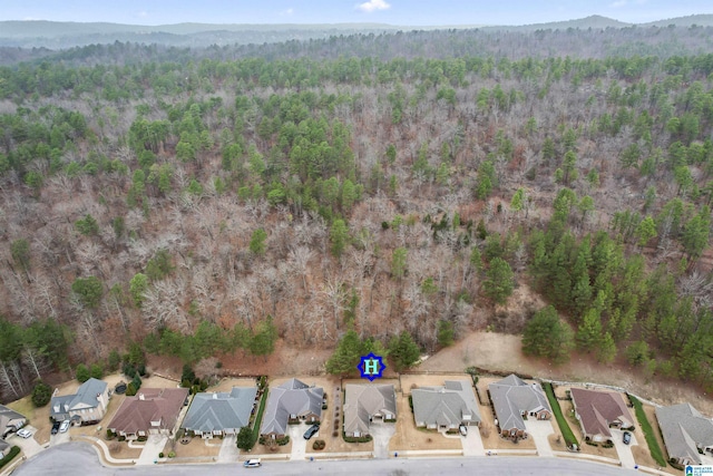 drone / aerial view featuring a mountain view