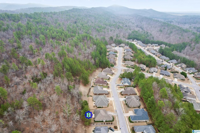 drone / aerial view featuring a mountain view