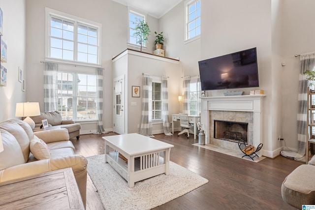 living room with a fireplace and dark hardwood / wood-style flooring