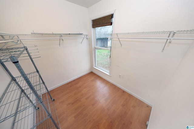 spacious closet featuring hardwood / wood-style flooring