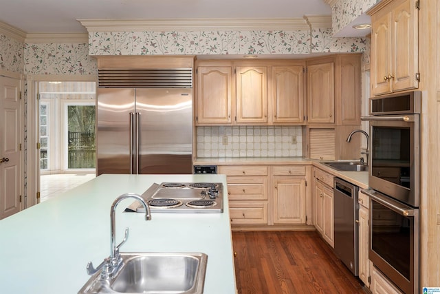 kitchen with stainless steel appliances, crown molding, sink, and dark hardwood / wood-style flooring